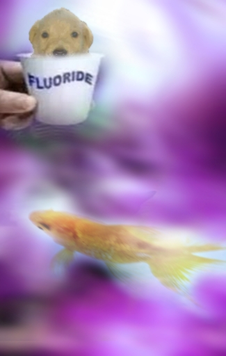 Picture of Jotchua in a cup being held labeled "Flouride" with a fish underneath